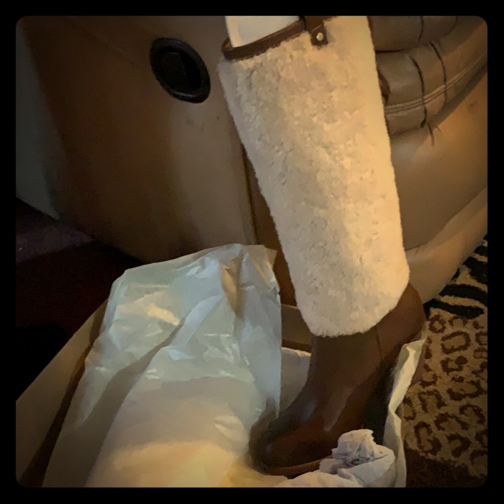 Uggs classic boot